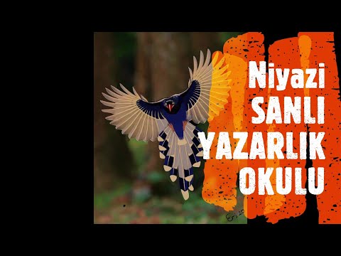 Video: Bir Iş Için Biyografi Nasıl Yazılır