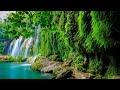 Calming Music Relieves Stress With Beautiful Nature Videos 🌿 Relaxing Piano Music, Healing Music #9