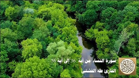 طه الفشني - سورة النّساء من آية ٣٦ إلى آية ٥٦ - وَاعْبُدُوا اللَّهَ وَلَا تُشْرِكُوا بِهِ شَيْئًا