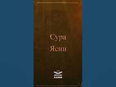 Коран на русском, подпишись👉 #islam #коран #альбакара #shorts - YouTube