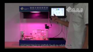 Rainbow-Light Intelligent lighting system (Indoor Lighting)