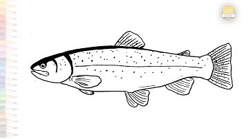 Rainbow trout drawing easy | Fish drawing tutorial | How to draw A trout step by step | #artjanag