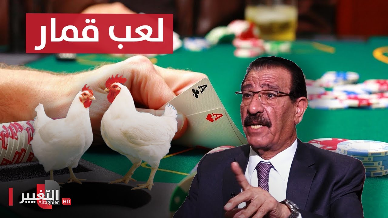 وزير الزراعة السابق : صناعة الدواجن في العراق لعب قمار