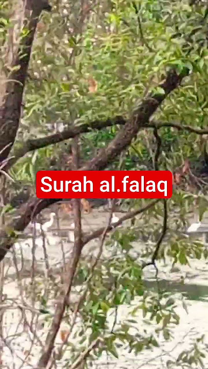 #surah_falaq #egzonibrahimi #videoislam