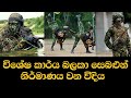 Special task force sri lanka stf