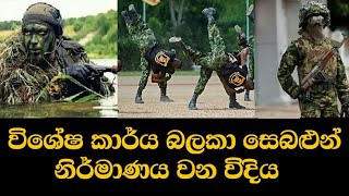 Special Task Force Sri Lanka Stf Youtube