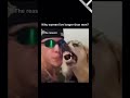 🎉 Beatboxing with a dog - Long Meme