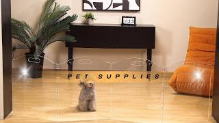 ✨ Modern & Invisible! Feoyoho Clear Acrylic Freestanding Folding Pet Gate 🐶