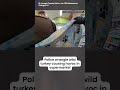 Wild Turkey goes nuts in Store