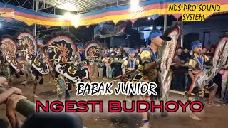 Download Lagu NGESTI BUDHOYO Jathilan Putra Junior || Di Ledoknongko, Bangunkerto, Turi, Sleman MP3