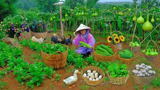 Download Lagu Harvest Chayote, Sponge Gourd, Malabar Spinach, Ducks, Bottle Gourds To Sell At The Market, Garden MP3 Download Lagu Harvest Chayote, Sponge Gourd, Malabar Spinach, Ducks, Bottle Gourds To Sell At The Market, Garden MP3