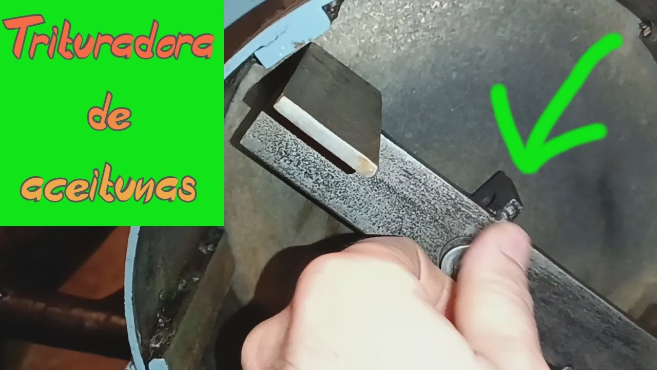 Trituradora De Aceitunas Para Hacer Aceite De Oliva Casero Triturar trituradora-de-aceitunas-para-hacer-aceite-de-oliva-casero-triturar