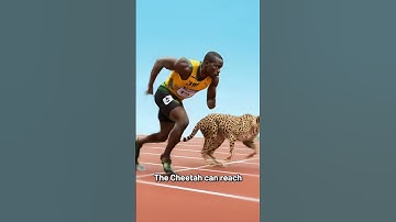 Cheetah VS Usain Bolt