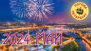 2024.05.14. Погода Петербург.21:03. +16°. Прекрасные погоды!