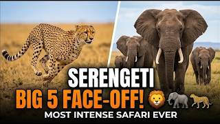 I Survived the Big 5! Unbelievable Serengeti Safari Encounters