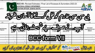 Details how to fill Budget Estimate 2023 24 BCC forms part 1 @AeEMPLOYEESNEWS Guide
