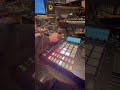 Dub Techno Jam. #moog #synth #electronicmusic #synthesizer #roland #hologramelectronics