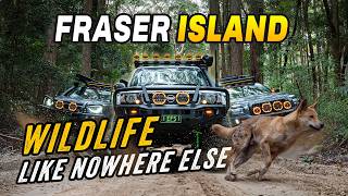 Fraser Island (K'gari) Blew Us Away | The 3 Islands Ep. 3