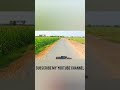 APNA DEHAT VISIT🫅🙆✌️💯💨💭💫❤️💓#dehati #nature #short #viral #youtube #aesthetic #tree #tricks