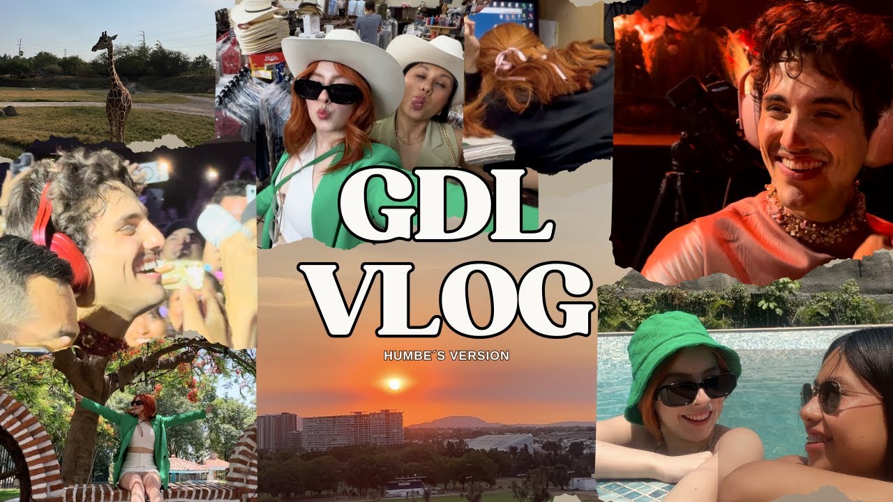 me fui de viaje para ver a mi artista favorito