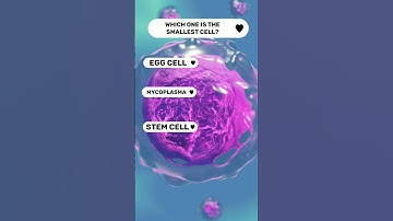 Which one is the smallest cell??#shortsvideo #shorts #animals