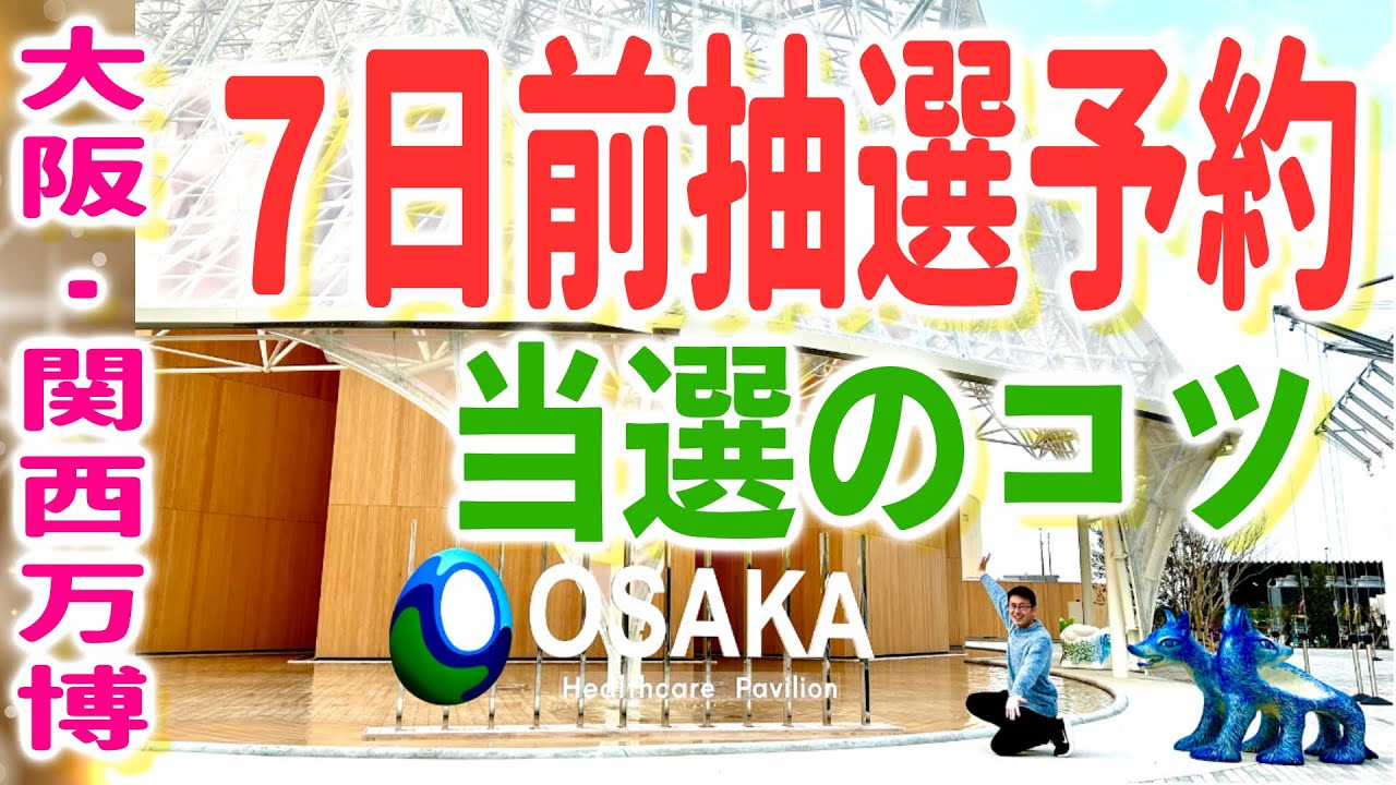 動画を再生
