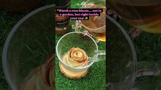 Rose Bloom Magic 🌹 | Watch This Tea Flower Open☕