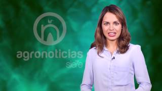 TITULARES AGRONOTICIAS sie7e PROGRAMA 19