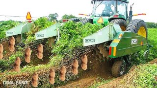 Máquina recolectora de maní, cómo cosechar maní en la granja, tecnología agrícola moderna