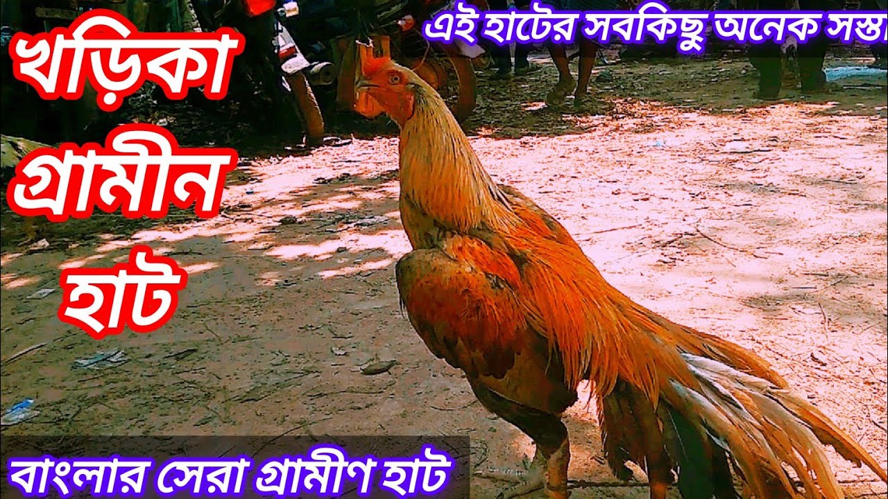 খড়িকা গ্রামীণ হাট l Village Market l Kharika Hat l