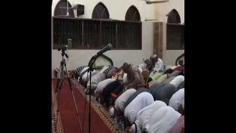الشيخ فادي الدالي وتلاوة خاشعة من سورة ق