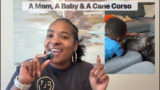 A Mom, A Baby and A Cane Corso