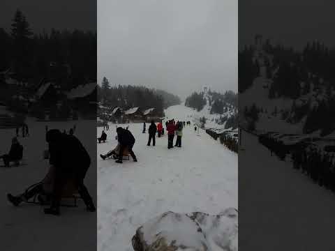 Mountain Vlašić🇧🇦 #fypシ #fyp #viral #trending #shorts