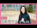 【コメント返し】ありがとうございます！