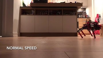 Quadruped Robot Tsuki 2