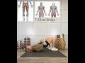 Beginner friendly workout 1