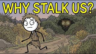 Why Do Wild Animals Stalk Us?