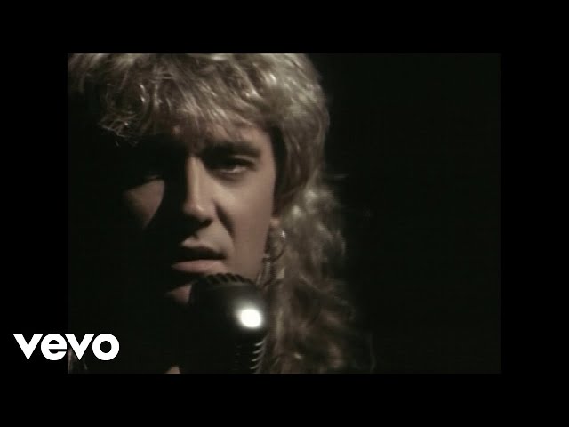 Def Leppard - Have You Ever Needed Someone S