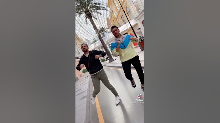 Armen & Hakob || TikTok