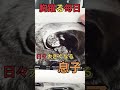 出産動画（8ヶ月前）#赤ちゃん #出産 #初産 #コニー