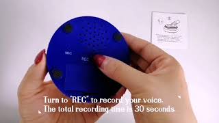 voice recording button