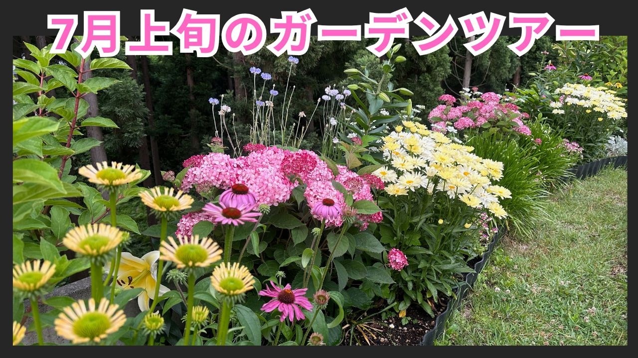 手のひら散歩 庭園編 A Tour of My Second-Year Garden in Japan. - YouTube