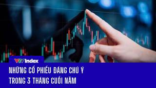 Stocks to Watch for the Final Quarter | VTVIndex