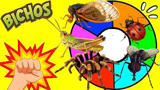 RULETA SORPRESA de BICHOS E INSECTOS INVERTEBRADOS | Los Insectos aterradores | Saltamontes, Araña