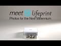 Lifeprint overview