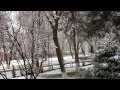 Ташкент 2016, первый снег. Tashkent in 2016, the first snow.