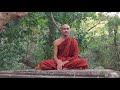 Dhamma Discussion -- Giving to Animals vs Giving to Humans