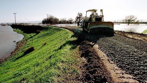 What are mitigation and adaptation?