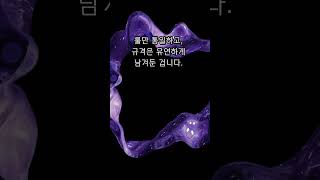 모든 축구장이 똑같지 않다고? #축구장규격 #FIFA규정 #축구상식 #스포츠상식  #무심코 #축구역사 #전술축구 #축구장크기 #FIFA