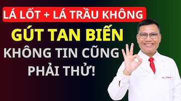 Bài Thuốc Trị Gout Từ Lá Lốt Và Lá Trầu Không (cực hiệu quả) | Tuấn Thầy Thuốc
